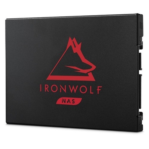 [SEAGATE] 아이언울프 125 SATA [250GB TLC].jpg