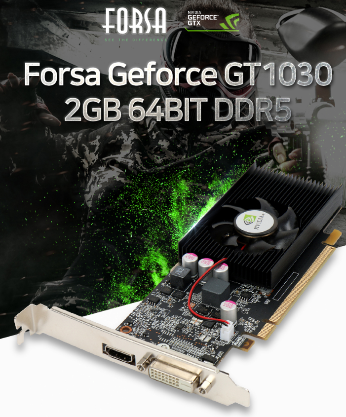 FORSA GeForce GT1030.PNG