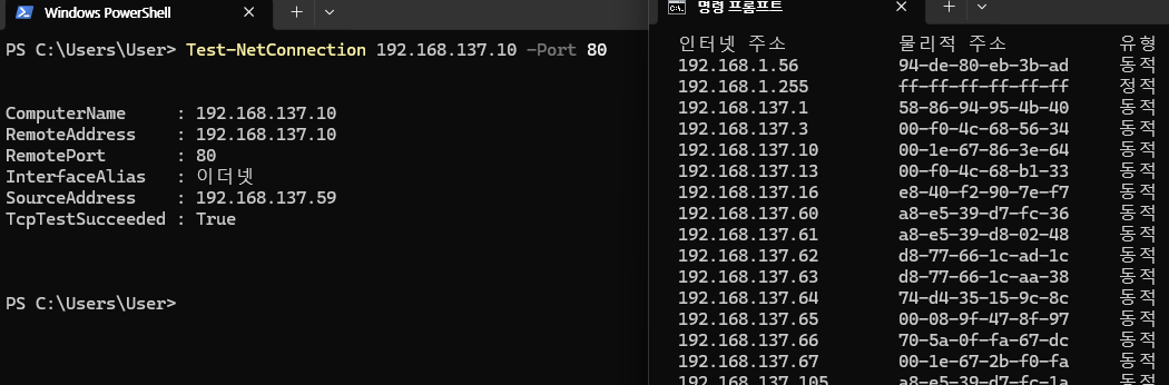 스크린샷 2026-02-05 160855.png